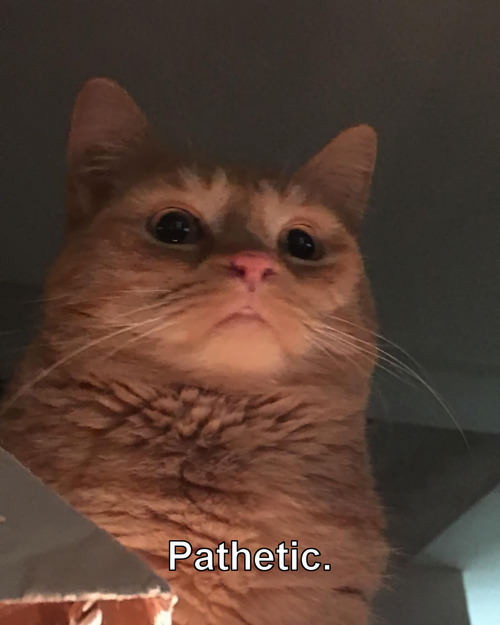 EvuQAAC.jpg