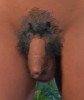 bIFlGeAy_o.png